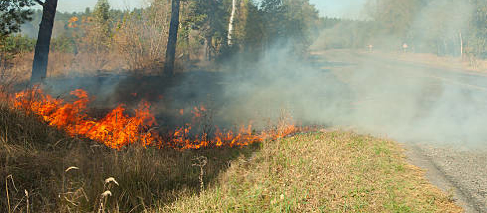 Bermen bij natuurgebieden gemaaid vanwege risico op natuurbrand